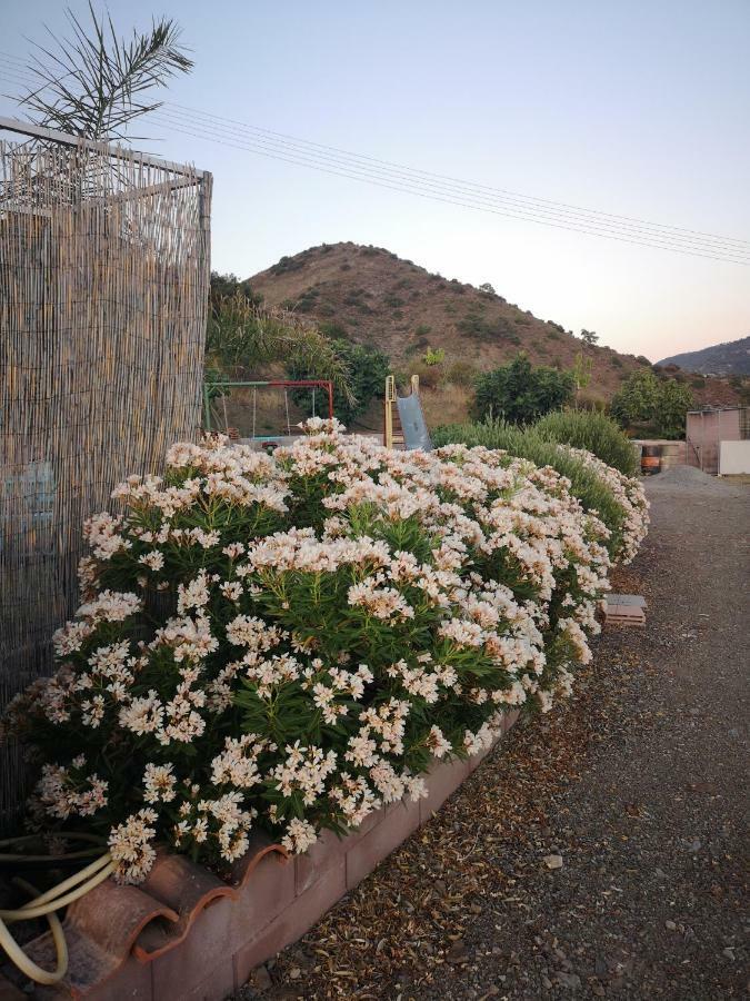 Kalamospito Holiday House Kalokhorio 외부 사진
